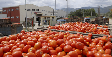 Planta procesadora de tomate, en Guantánamo (Foto: Leonel Escalona Furones)