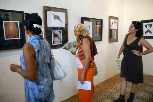 Una de las exposiciones de humorismo gráfico de la XX Bienal (Foto: Yoandry Avila Guerra)