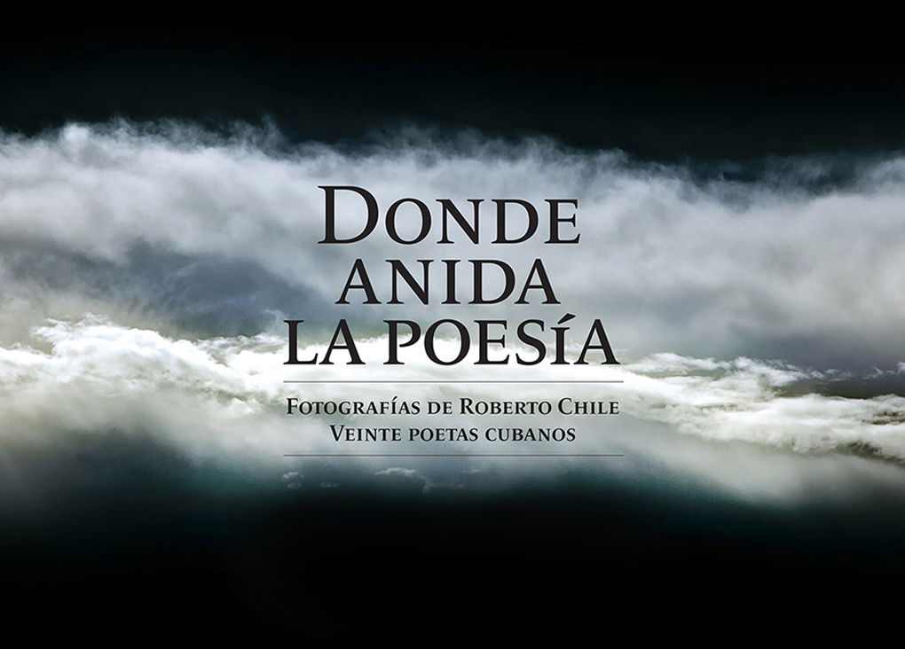 Donde anida la poesía 