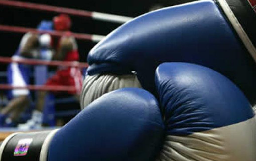 guantes de boxeo